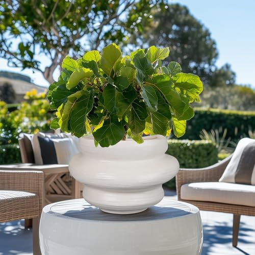 Ceramic Plant Pots Bonsai 10.6 Inch