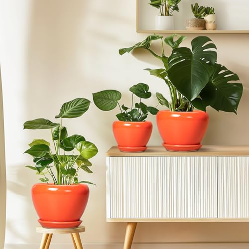 Indoor Plant Pot