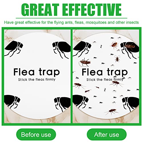 Flea Trap Refills Sticky Glue Discs Double Layer 7.1 Inch (30 Count)