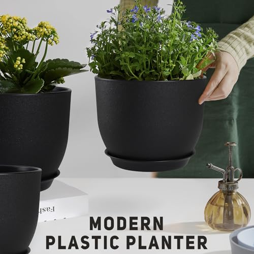 Plant Pots 12 (3 Count)