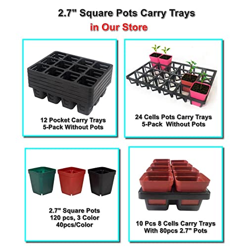 Square Nursery Pot Tray with 24 Cells (5 Count)