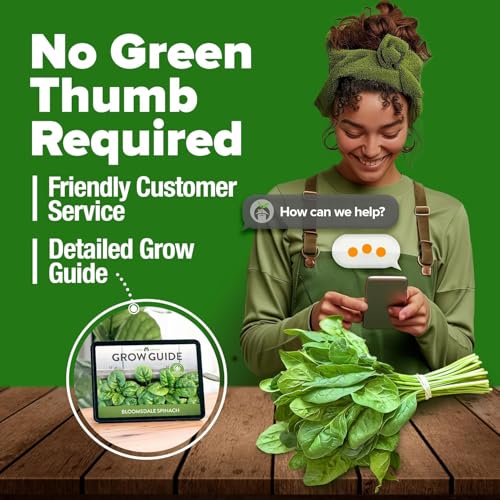 Bloomsdale Spinach Seeds