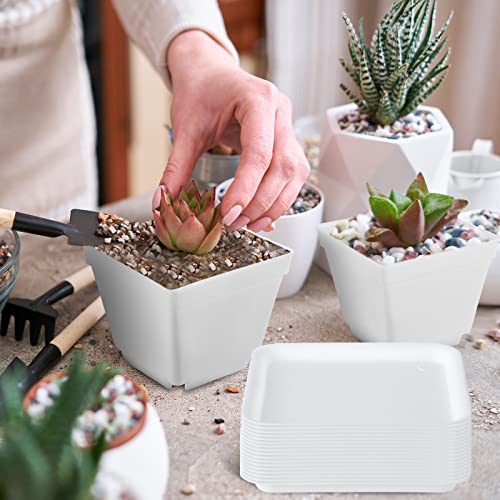 100 Pcs 4 Inch Small Plants Pot Bulk Flower Pots (200 Count)