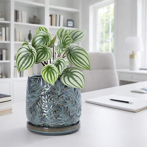 Embossed Leaves Ceramic Planter (6 Inch / Ocean Teal)