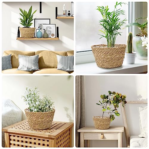 Woven Plant Basket Set of 3 with Plastic Liner (Natural Color-3)