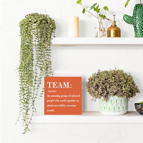Inspirational Team Noun Office Decor Wooden Box Sign