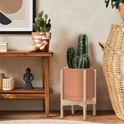 Terracotta Pot with Natural Wood Stand