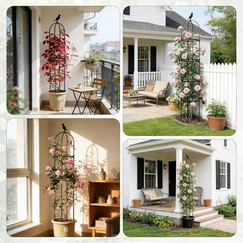 2 Pack Trellis for Climbing Planting Outdoor (BLACK / 2 PACK)