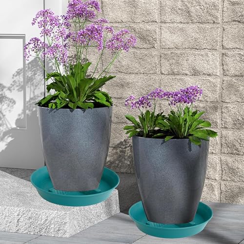 4 Pack Plant Saucer 8 inch
