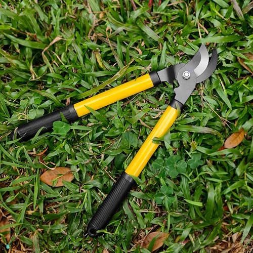 41 Piece Premium Gardening Tool Set (41 Count)