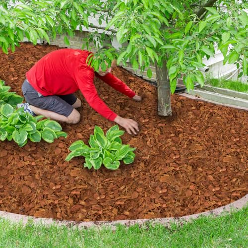 2 Pcs Coco Husk Chips for Plants