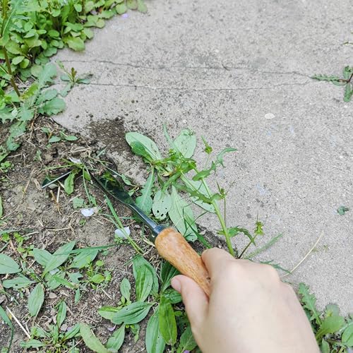 Gardening Tool (3 Count)