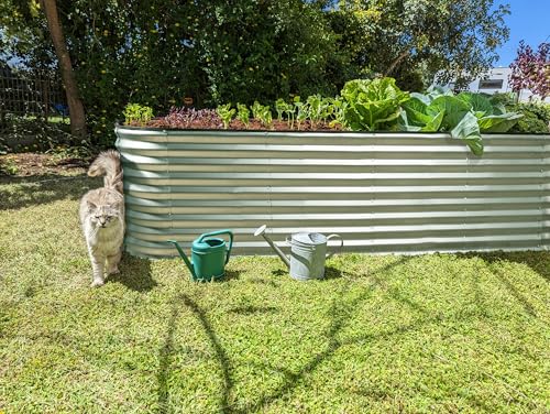 Galvanized Raised Garden Beds Outdoor