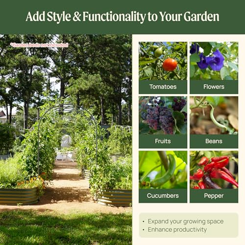 6.0' Long Trellis Modular Arched Trellis System for Garden Bed Climbing Plants Like Cucumber Beans Tomatoes & Vines (6.0 Ft Long)