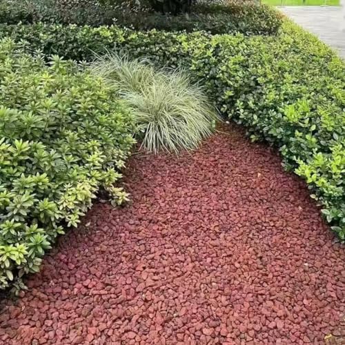 5LB Succulent and Cactus Gravel Pebbles