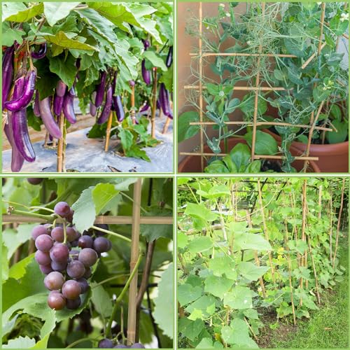 Natural Bamboo Garden Stakes (20 Count)