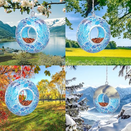 Solar Bird Feeder