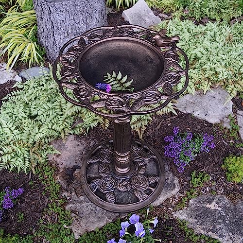 Rose Bird Bath