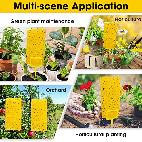 220 Pcs 7.9 x 4 Inch Yellow Sticky Traps for Plant Gnats Dual Sided Fruit Fly Sticky Traps for Indoors Outdoors with Twist Ties & Plastic Holders for Insect (7.9 x 4 Inch)