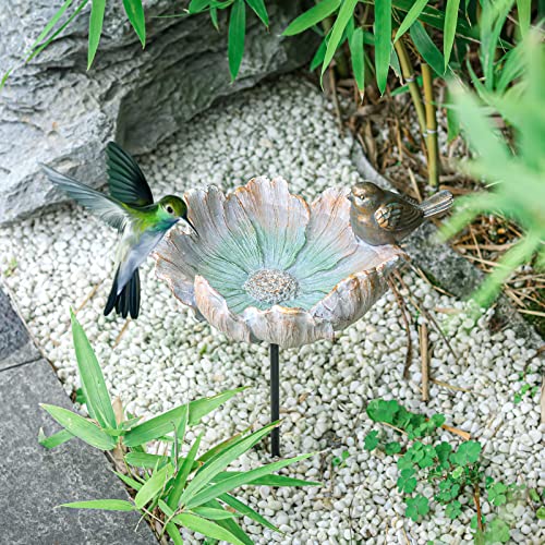 Bird Baths for Outdoor