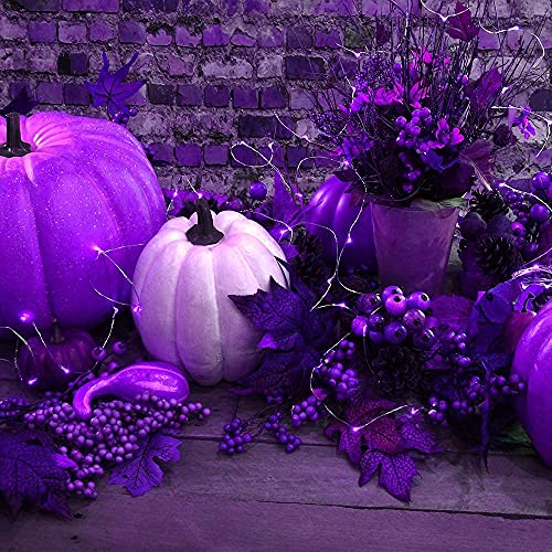2 Pack Solar Powered Fairy String Lights Outdoor Waterproof 8 Modes Twinkle Christmas Decorations Lights (2 Count)