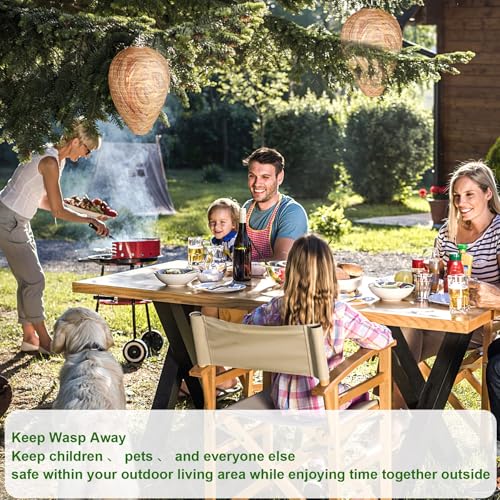 4 Pack Wasp Nest Decoy (4 Count)