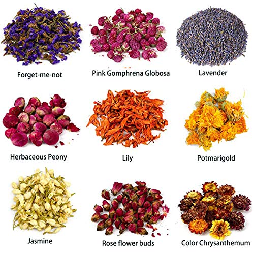 Dried Flowers