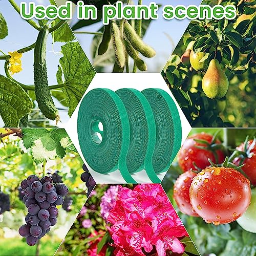 12 Rolls Plant Tape