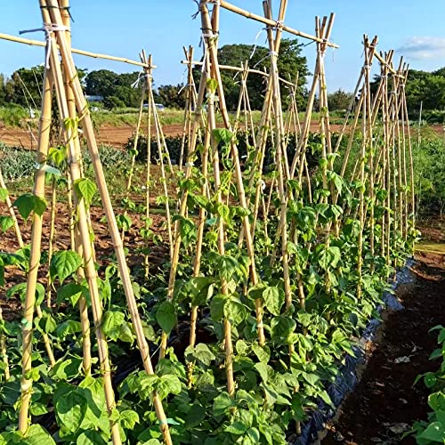 Bamboo Stakes 6FT Garden Stakes Plant Poles for Outdoor 20 Pack