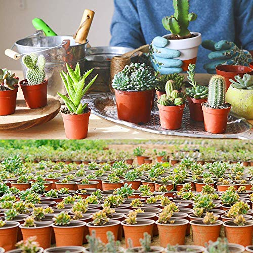 Nursery Pot 75 Pcs 4 Inches Plastic Nursery Seed Starting Pots (75 Count)