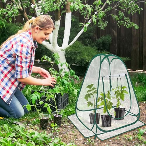 4 Pcs Pop up Small Greenhouse for Winter Mini Clear PVC Greenhouse (4 Count)