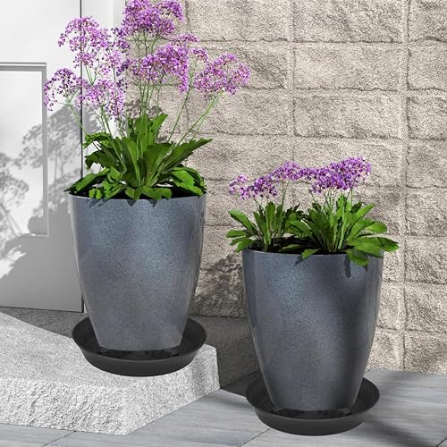 4 Pack Plant Saucer 8 inch