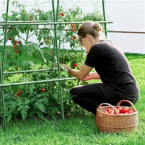 Cucumber Trellis for Climbing Plants