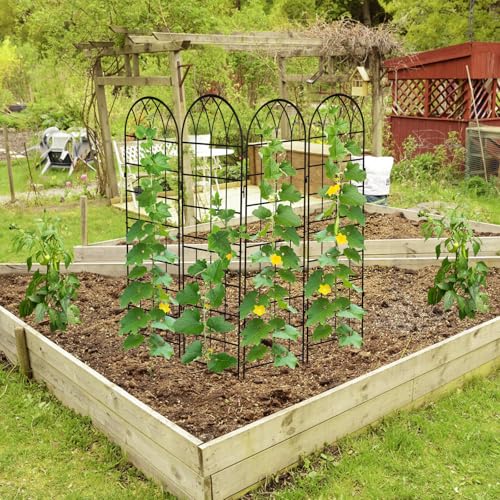 4 Pack Garden Trellis for Climbing Plants (59''H x 16''W/4 Pack / Black)