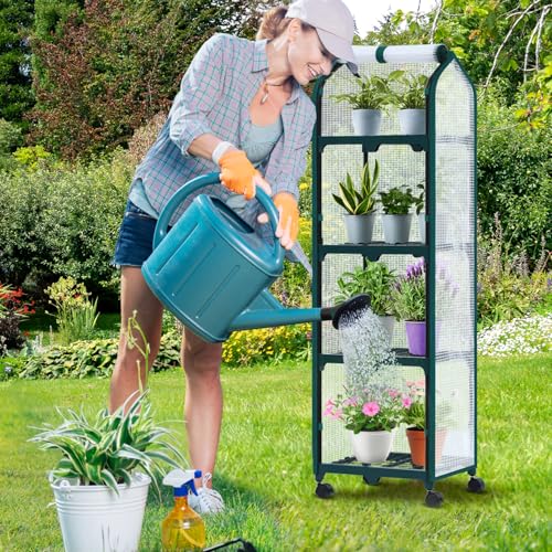 Mini Greenhouse for Indoor Outdoor