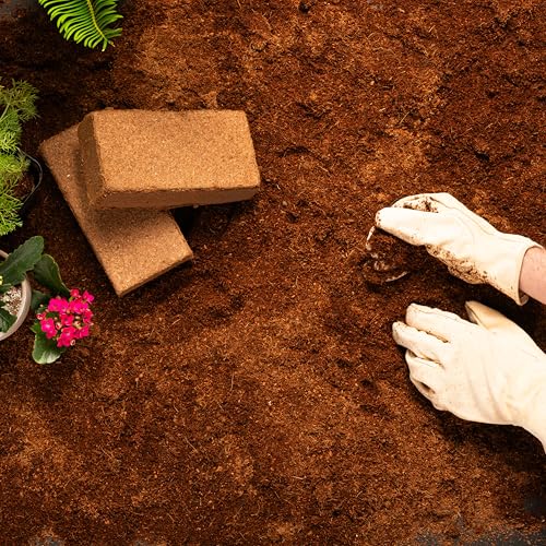 Coco Coir Brick (Coco Bliss 650gm (1 Brick))