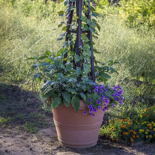 Brunello Small Classic Rolled Rim Planter Pot