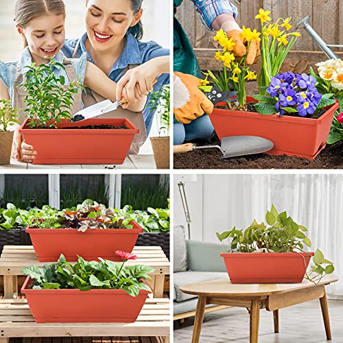 Window Box Planter