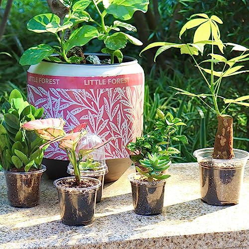 Clear Nursery Pots with Humidity Domes (36 Count)