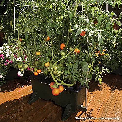 Novelty EarthBox Garden Kit (2 Count)