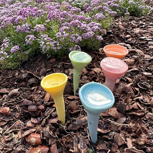 5 Pack Bee Watering Station (Pastel Singles)
