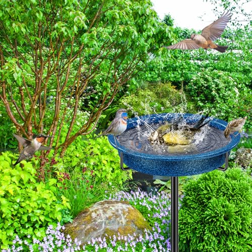 Bird Baths for Outside