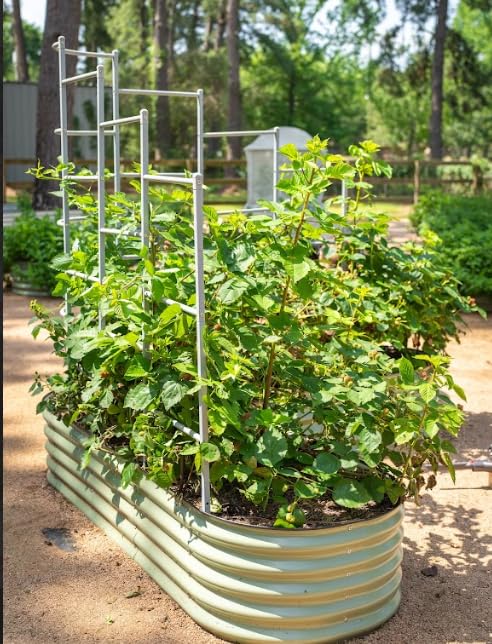 Modular Wall Trellis System