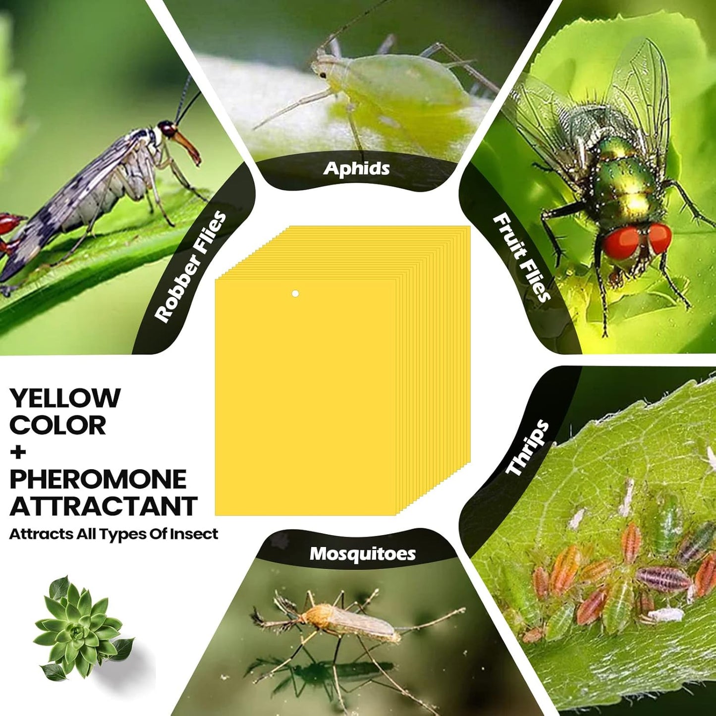 Qualirey 900 Pcs 6 x 8 Inch Yellow Sticky Traps for Plant Double Sided Sticky Trap for Gnats with Twist Ties Sticky Fly Traps for Fruit Insect Fungus Bugs Indoor Outdoor