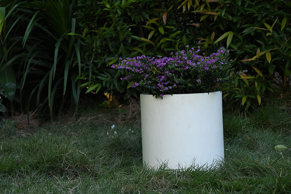 Small Round Cylinder White Concrete Planter 9.8" Tall (Pure White / 9.8" Dia)
