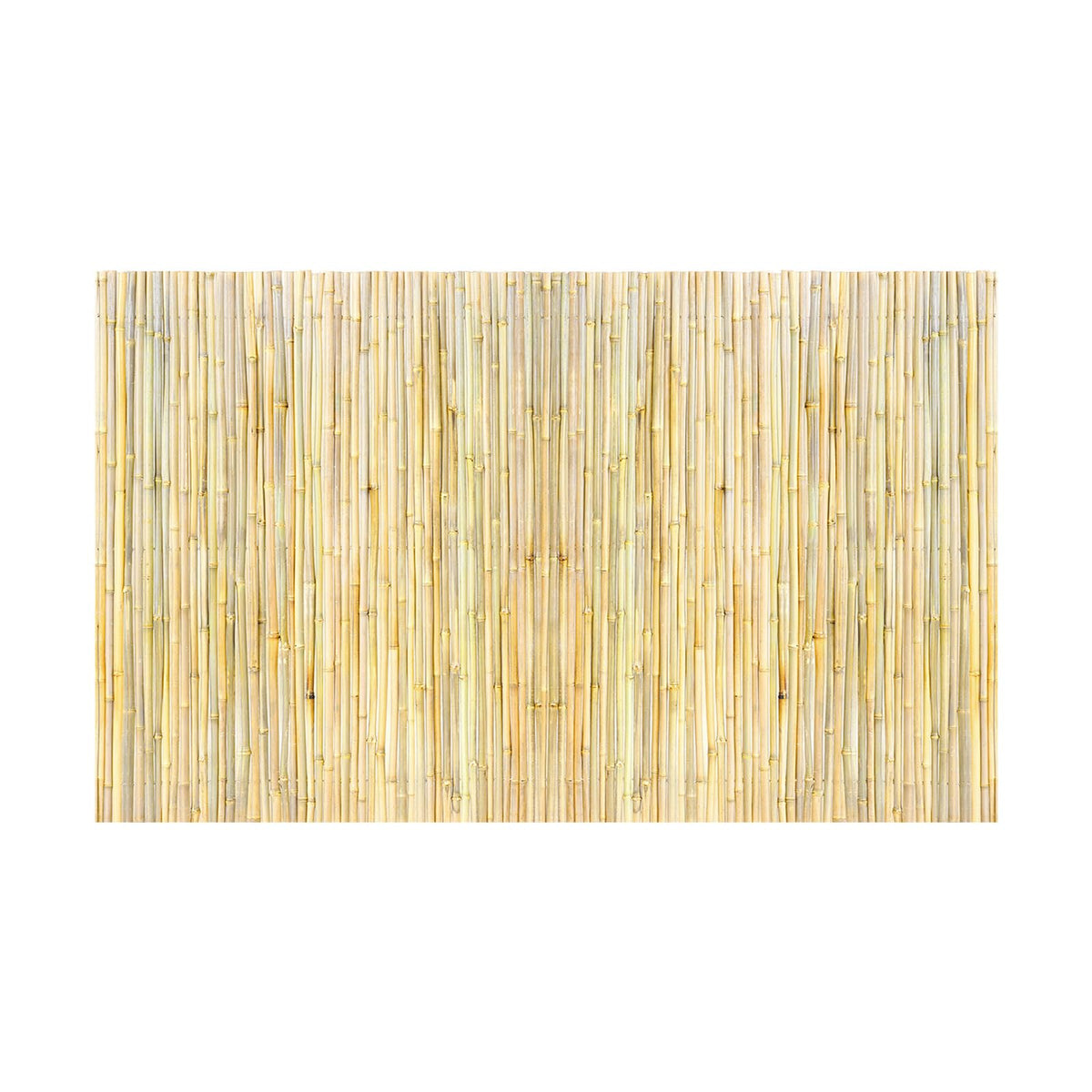 Natural Rolled Bamboo Fence (32 Sq Ft)