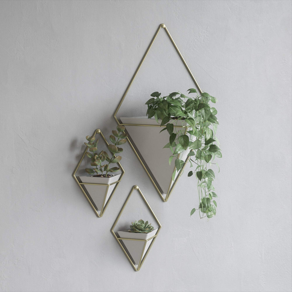 Trigg Hanging Planter for Small Plants (2 Count)
