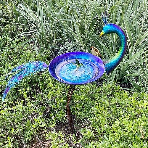 12.8" W*38.2" H Peacock Bird Bath