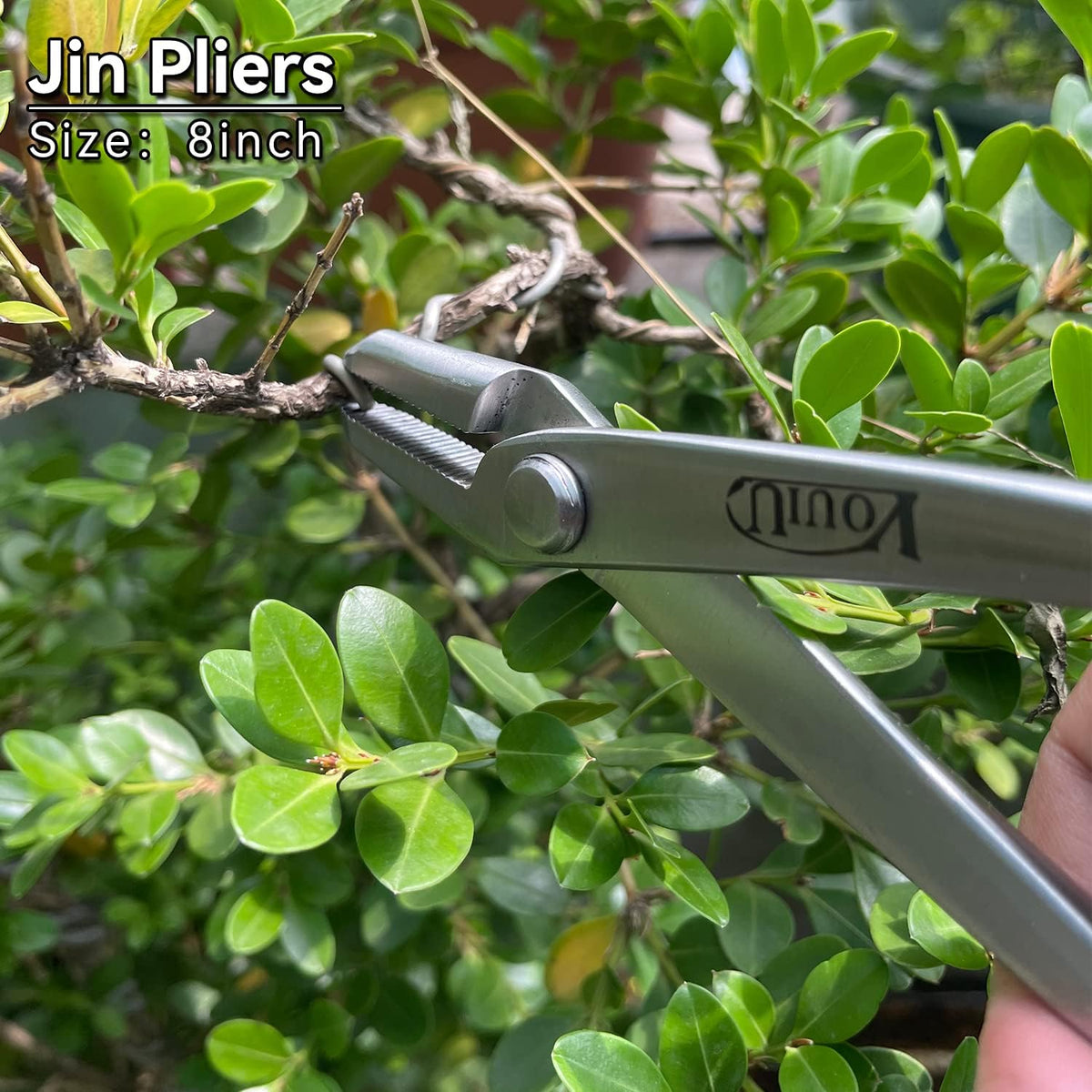 8inch Jin Pliers Bonsai Tools