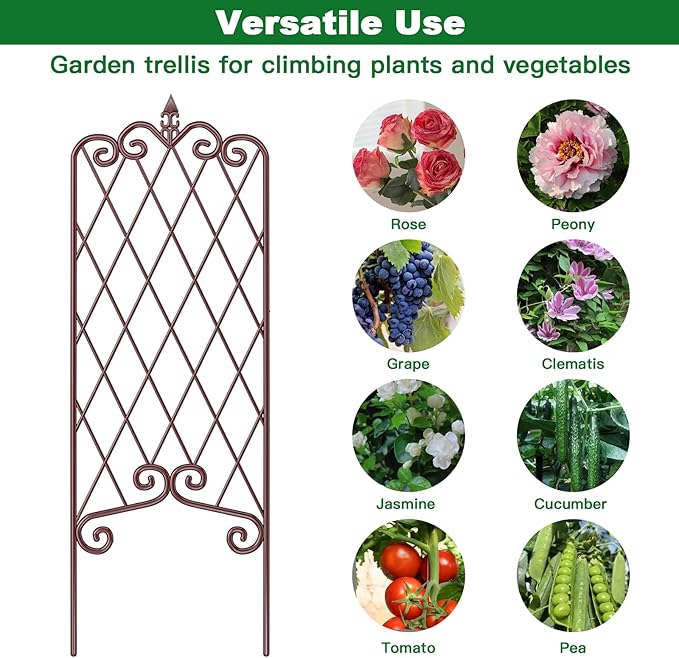 AMAGABELI GARDEN & HOME 2 Pack 60” x 18” Garden Trellis for Climbing Plants Outdoor Garden Fencing Decorative Plant Trellis Vegetables and Rose Trellis for Ivy Cucumbers Brown